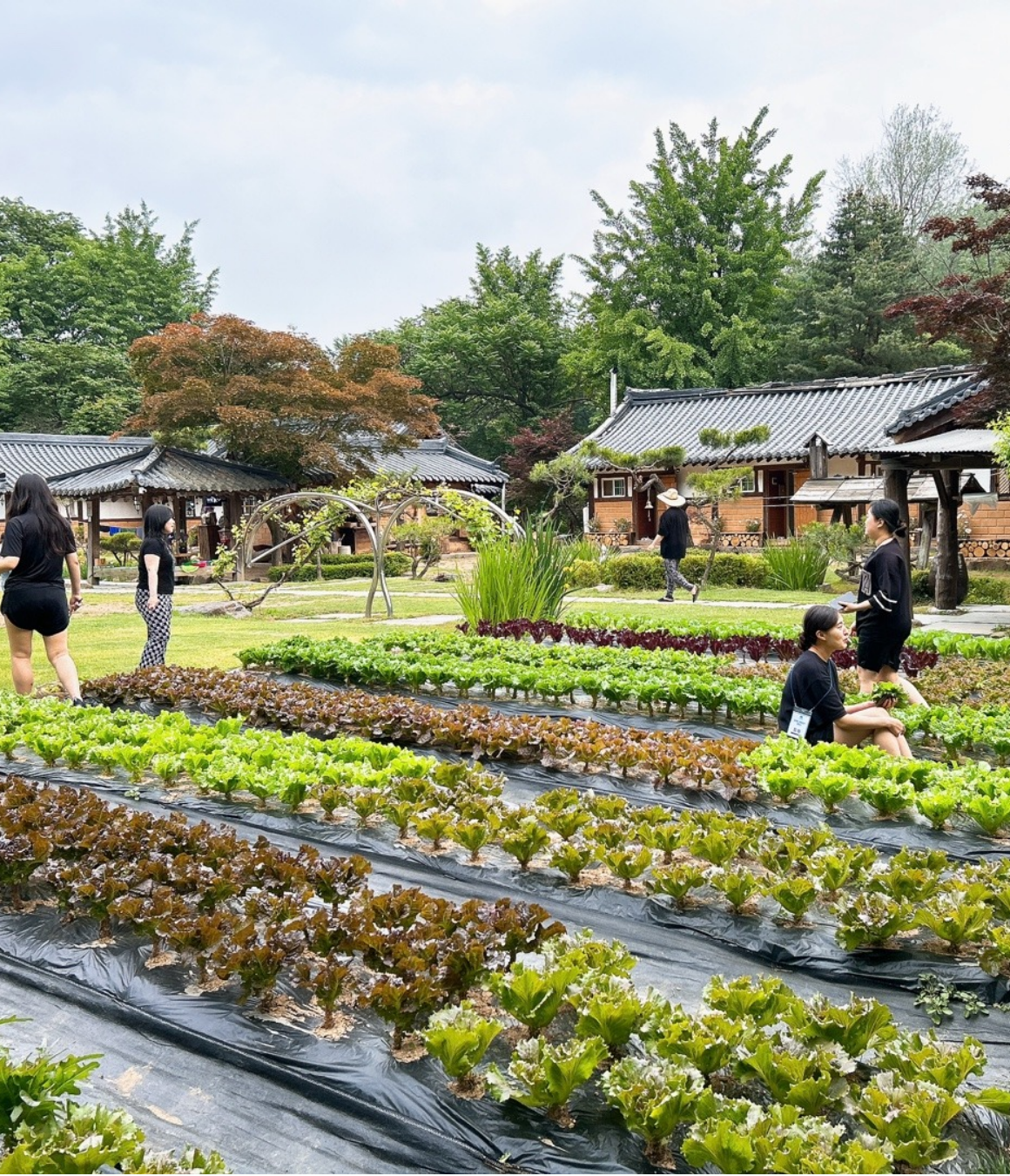 [모집 마감] 남양주, 리프레시 촌캉스 (4월)