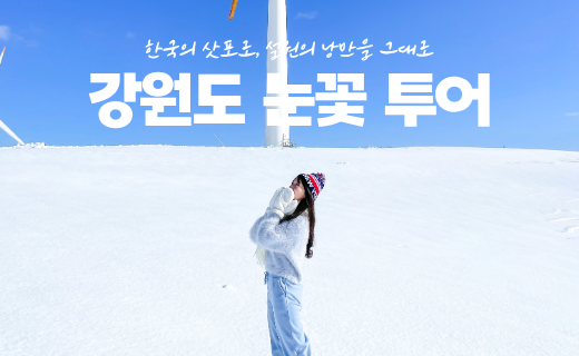 한국의 삿포로, 강원도 눈꽃 투어 이미지