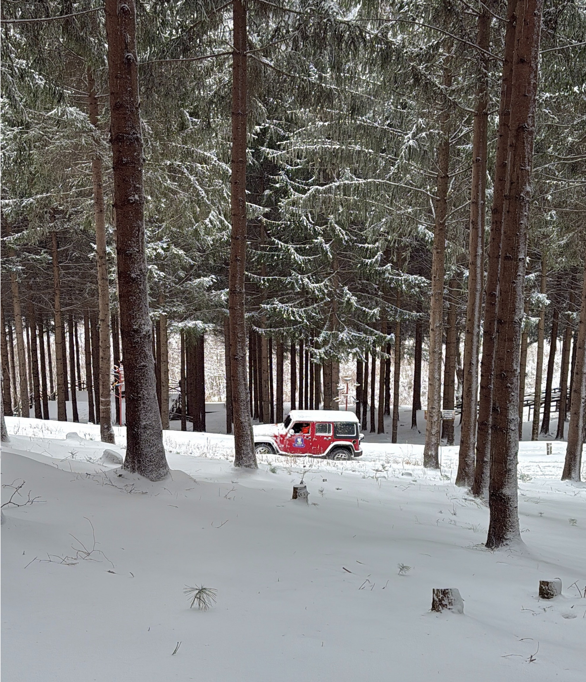 한국의 삿포로, 강원도 눈꽃 투어