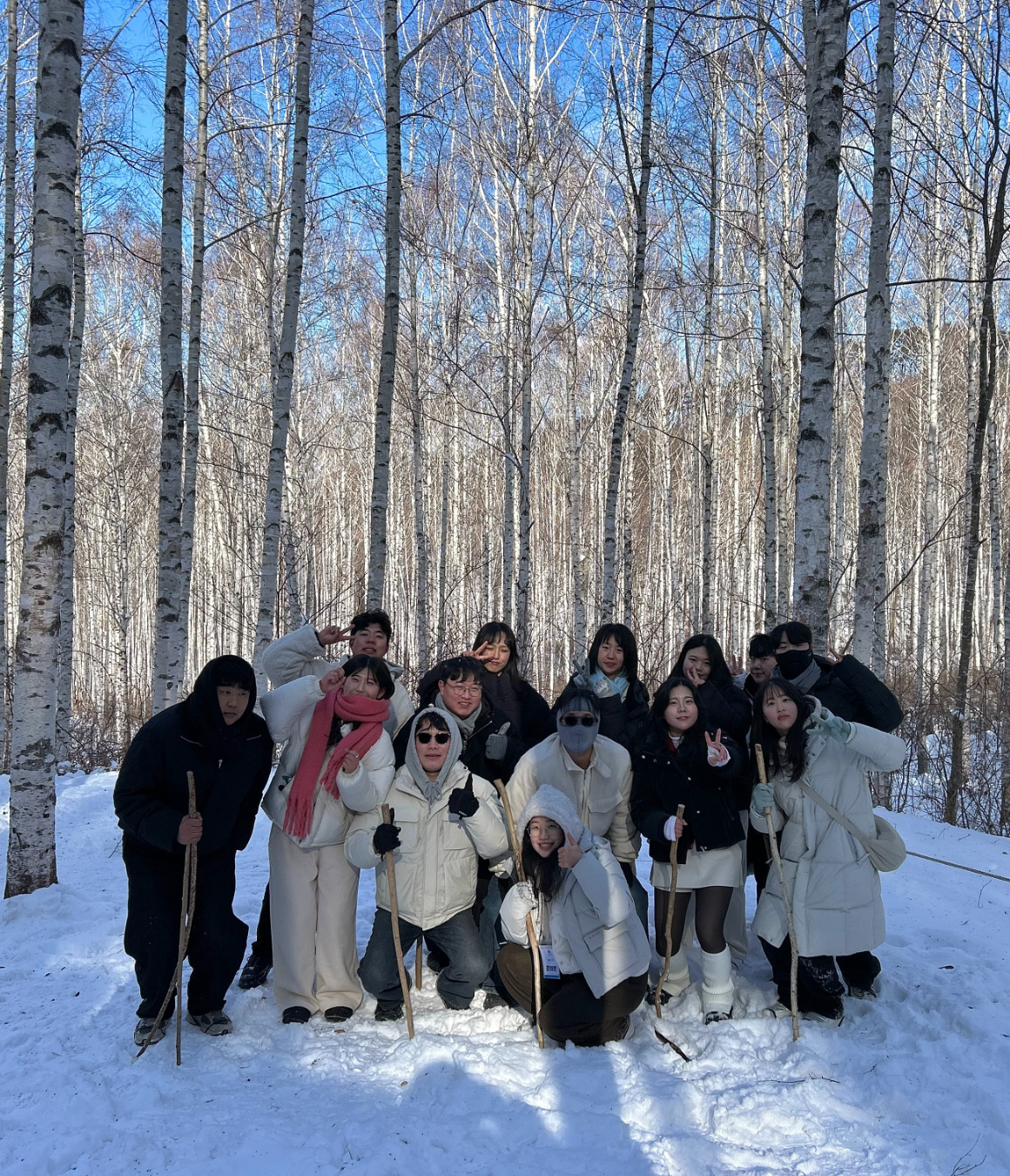한국의 삿포로, 강원도 눈꽃 투어