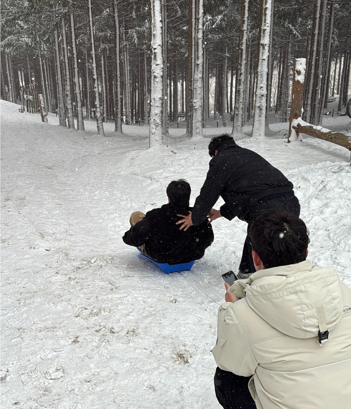 한국의 삿포로, 강원도 눈꽃 투어