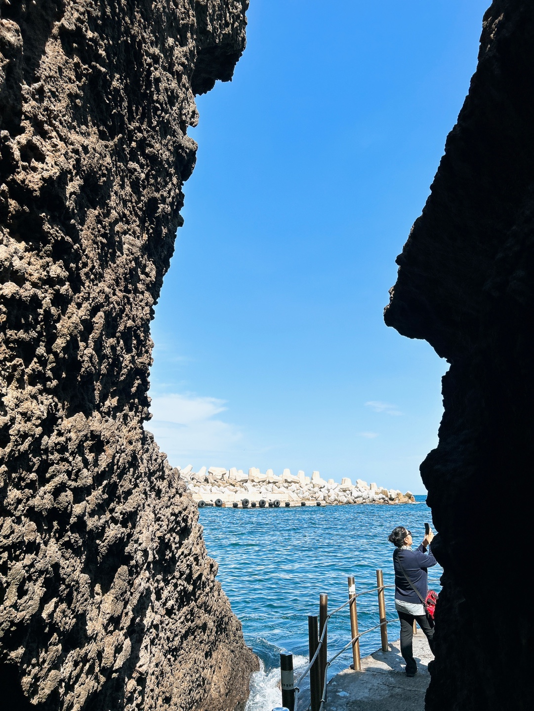 울릉도 대탐험 with 독도 원정대 (7,8월)