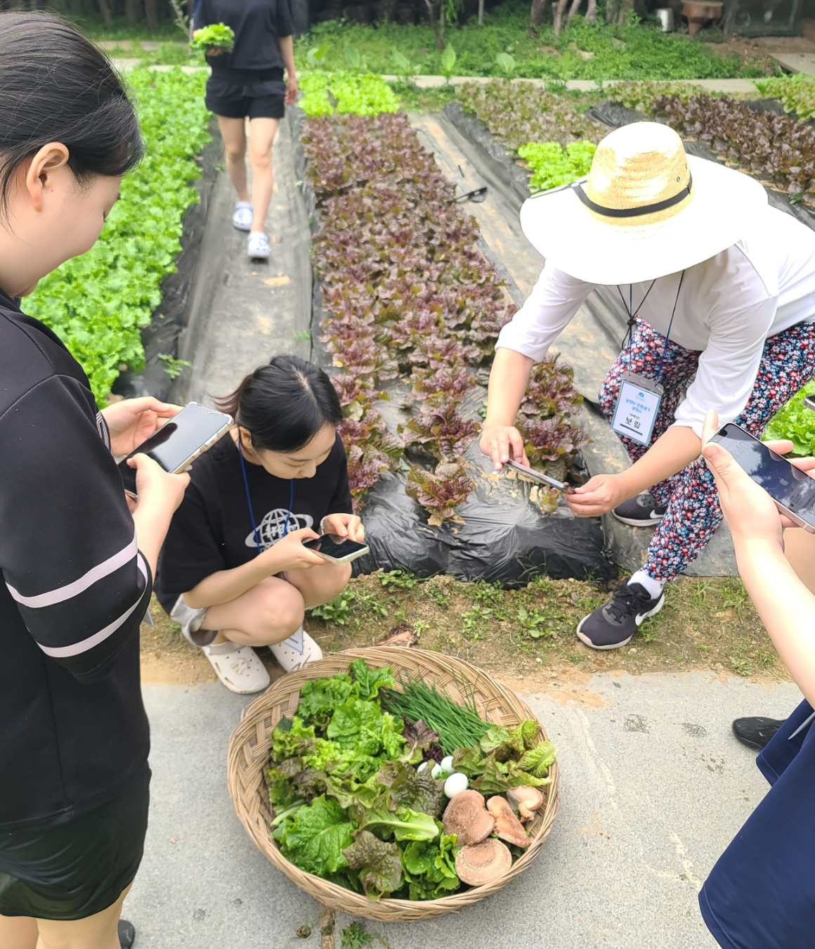 [마감임박] 남양주, 리프레시 촌캉스 (5월)