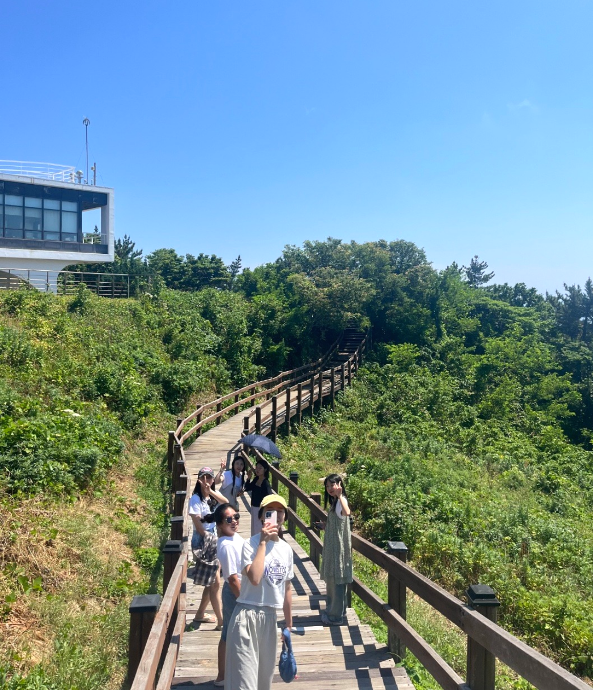 울릉도 대탐험 with 독도 원정대 (6월)