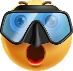 VIP 등급 아이콘